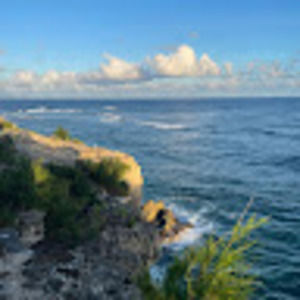 Meet your Posher, Isabelle